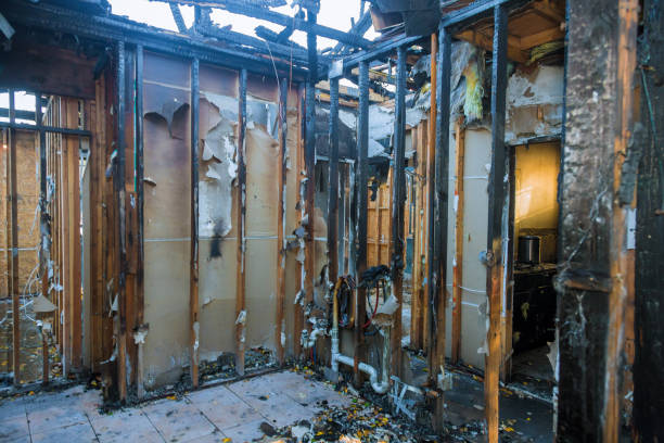 Professional Fire Damage Removal technician working in Fabrica, TX